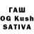 Cocaine 99% Chaim Talsky